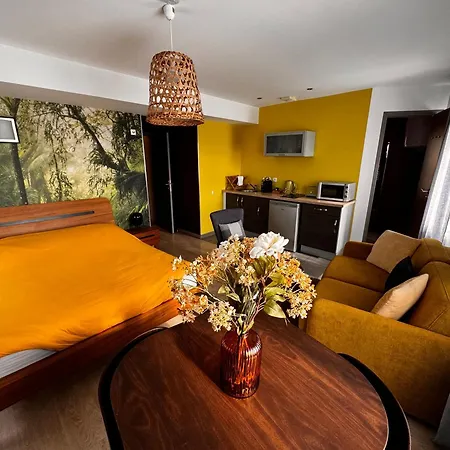 Lejlighedshotel Le 116 Gravelines